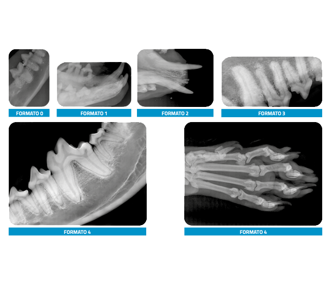 diagnostica-multipla.png__800x800_q85_subsampling-2